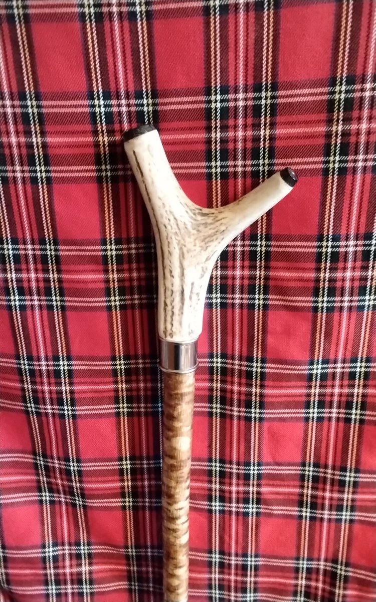 Antler thumb stick, buffalo horn tips, silver collar on hazel shank for sale. DM for information.