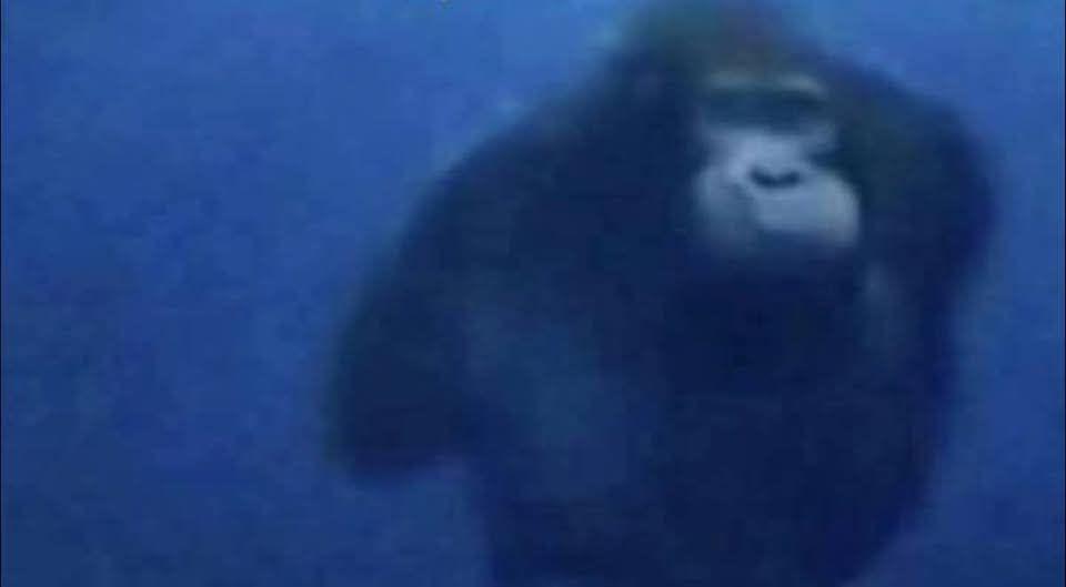 yo bajando a las profundidades de mi mente para saber por qué soy así