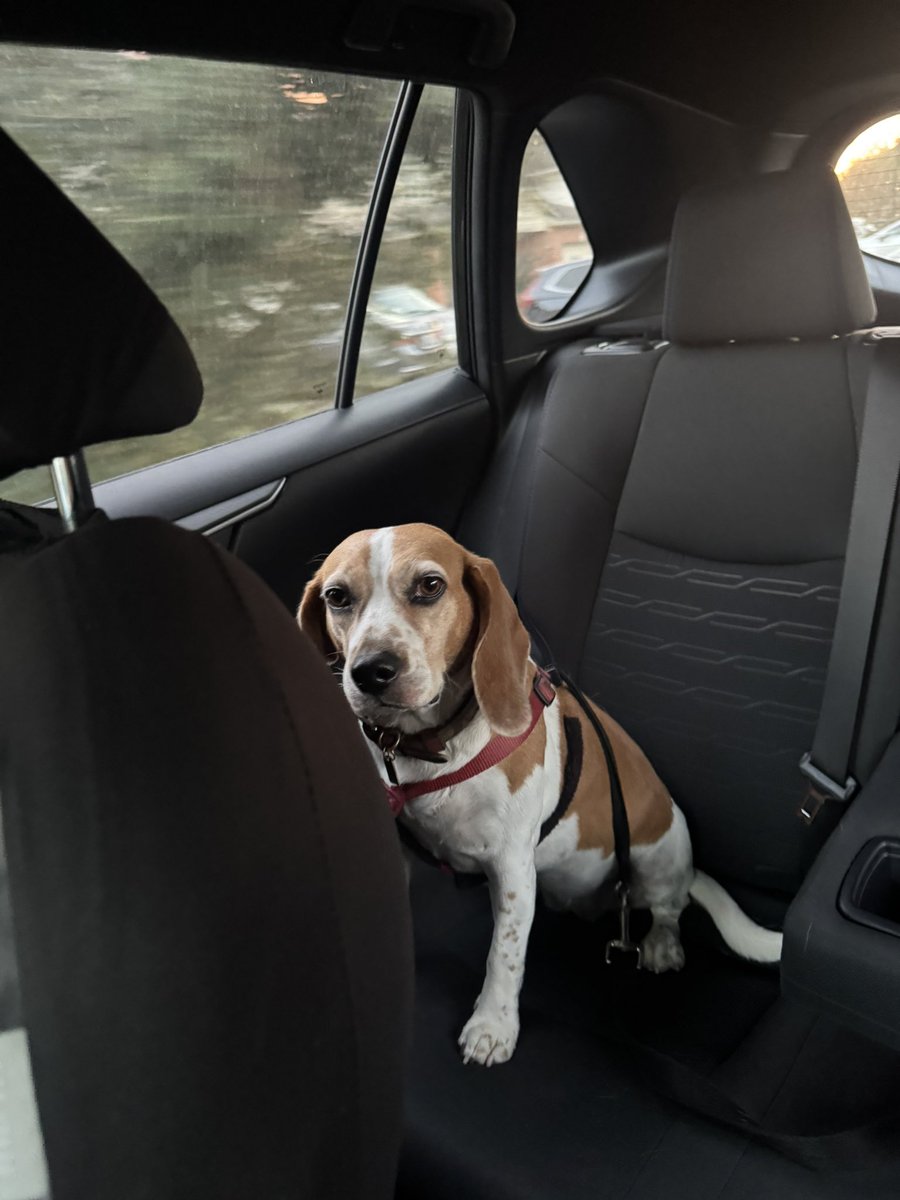 SlatersProfile's tweet image. 