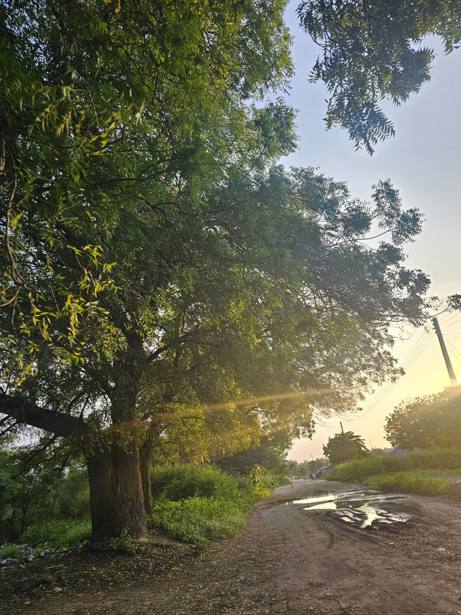 First time using @polymarket 

<a href="/Caneleo55/">Caneleo🧐🔎</a> am I doing something right?