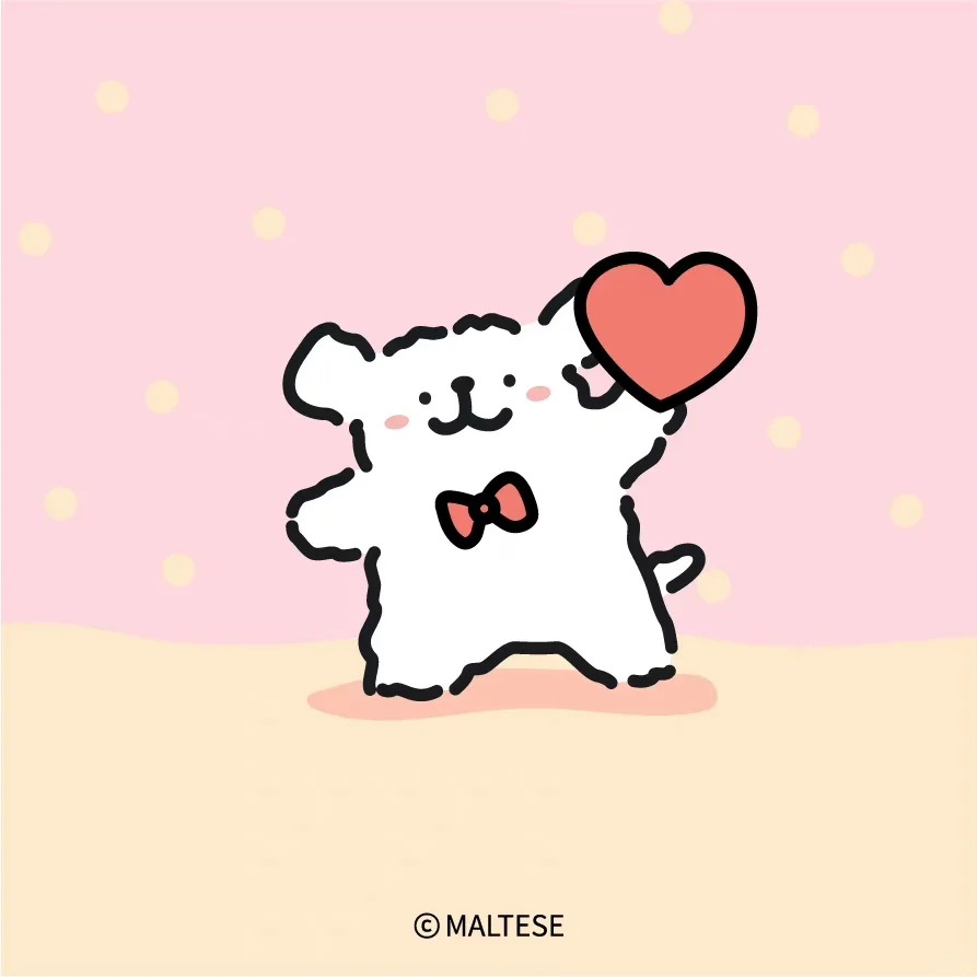malteseofficialth tweet media