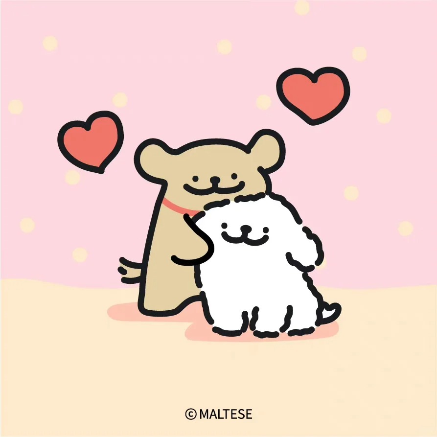 malteseofficialth tweet media