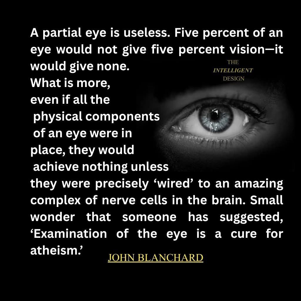 NotEvolution1's tweet image. 