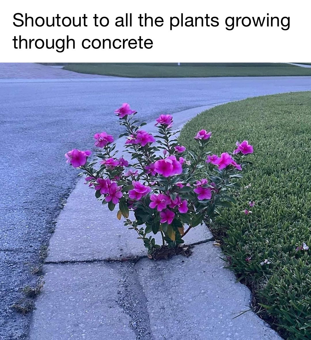 thematrixwizard's tweet image. 