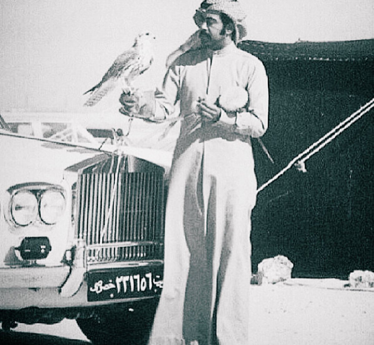 يا كثر ما تحسد العين خفاق الجناح
    ما بعد عنّاه ذب الرجوم العاليه