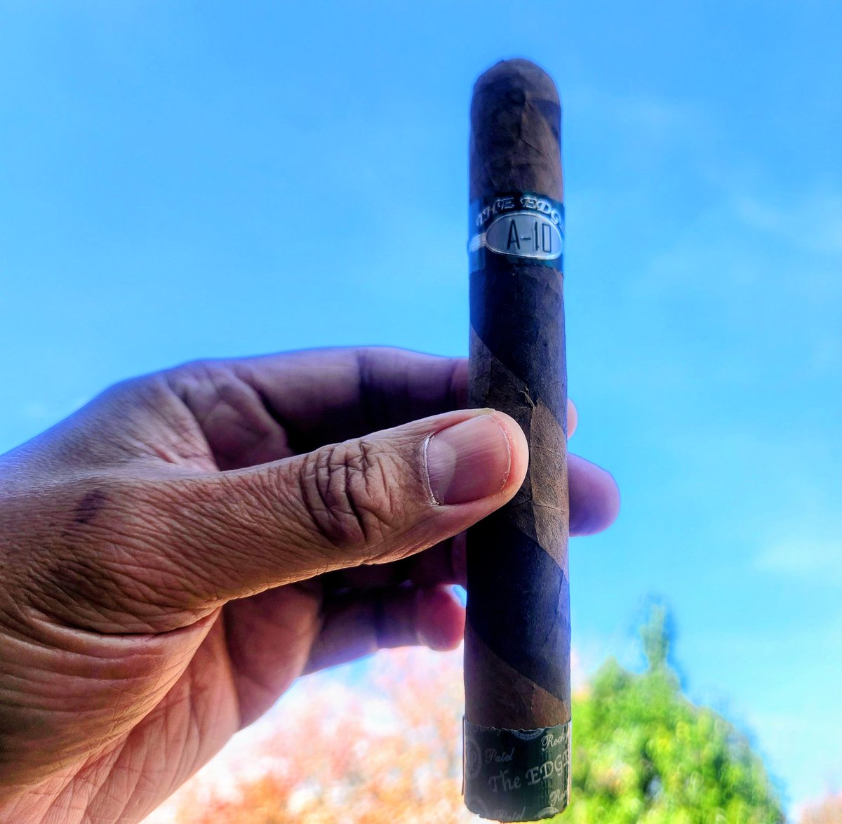 Daryl Israel tweet media