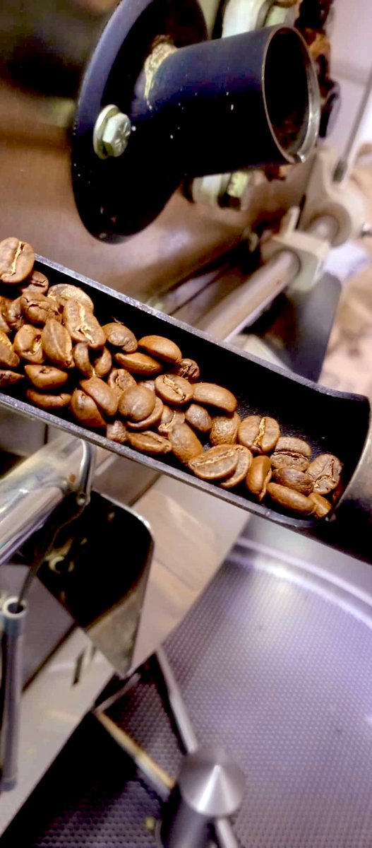 Meet your Crop-to-cup best friend.
A full-bodied blend of Elgonian and Sembabule’s beans with a bold, smooth finish — made for those who like their coffee strong and satisfying.

👉 Get yours now: from our checkout 
More blends <a href="/volcanocoffee1/">Volcano Coffee</a> 🇺🇬 

#VolcanoCoffee #DarkRoast