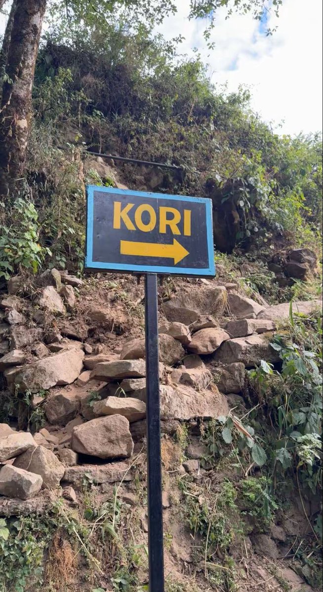 bonkfun's tweet image. there will be signs