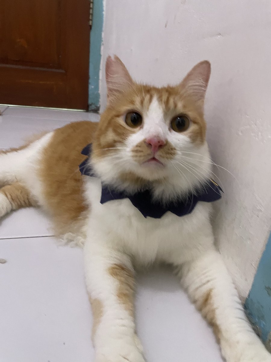 Marvelia Cantika (@stateofm1nd__) on Twitter photo 