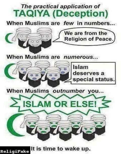 6ft5guy's tweet image. 