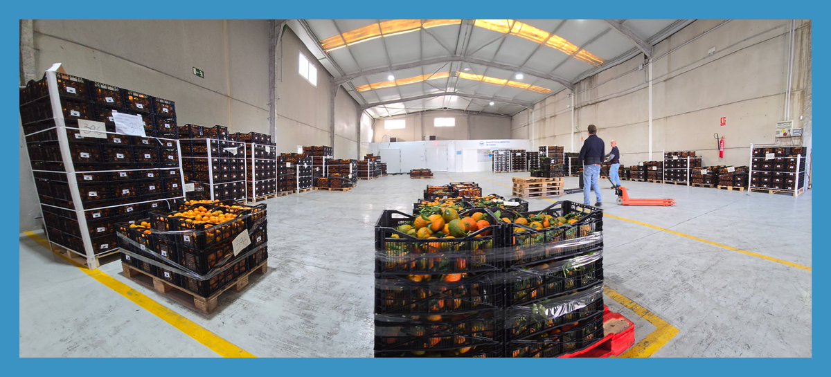 Hoy hemos recibido del Fondo Andaluz de Garantía Agraria ( F. A. G. A. ) 14.976 Kilos de Mandarinas. Ya nuestros imprescindibles VOLUNTARIOS/AS los han preparado en lotes y mañana se van a repartir a las entidades colaboradoras de la Provincia. 
#voluntariadobacadiz