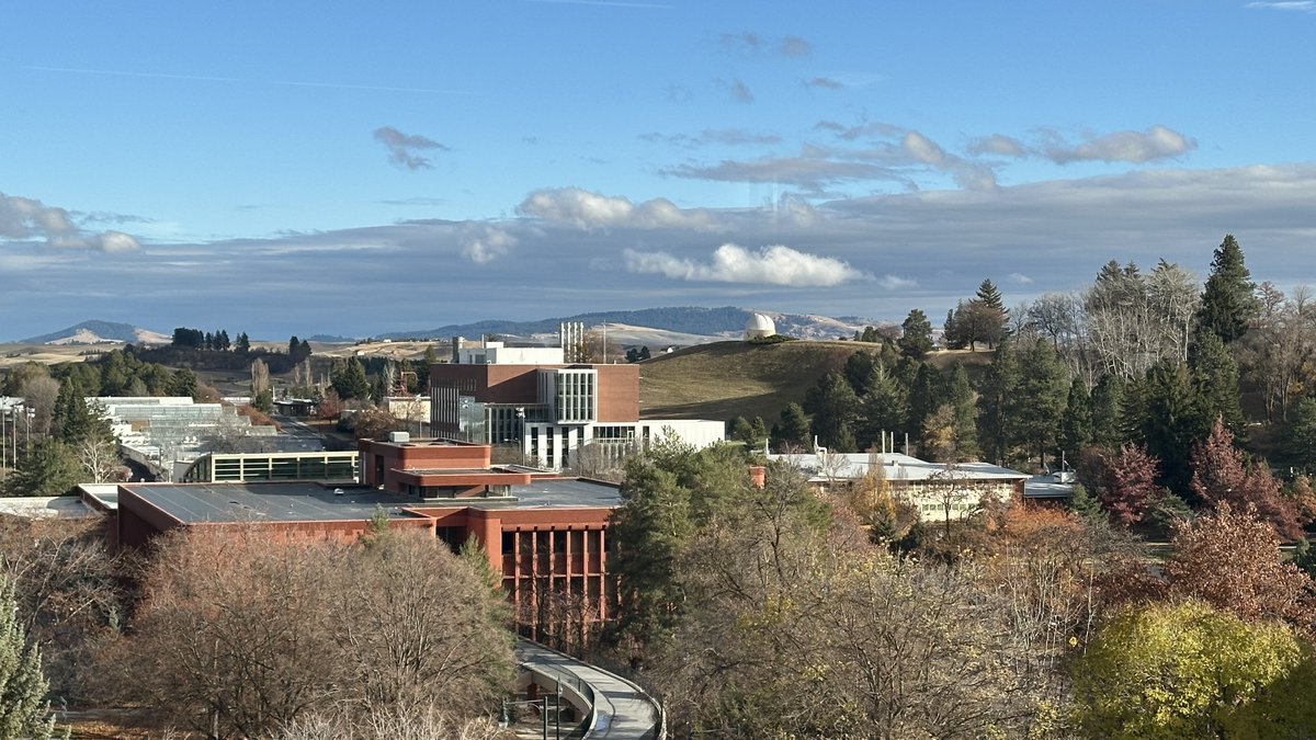 WSUPullman's tweet photo. We're enjoying the last days of fall colors on the #Palouse. 😍 #WSU #GoCougs https://t.co/PuaojwkZr4