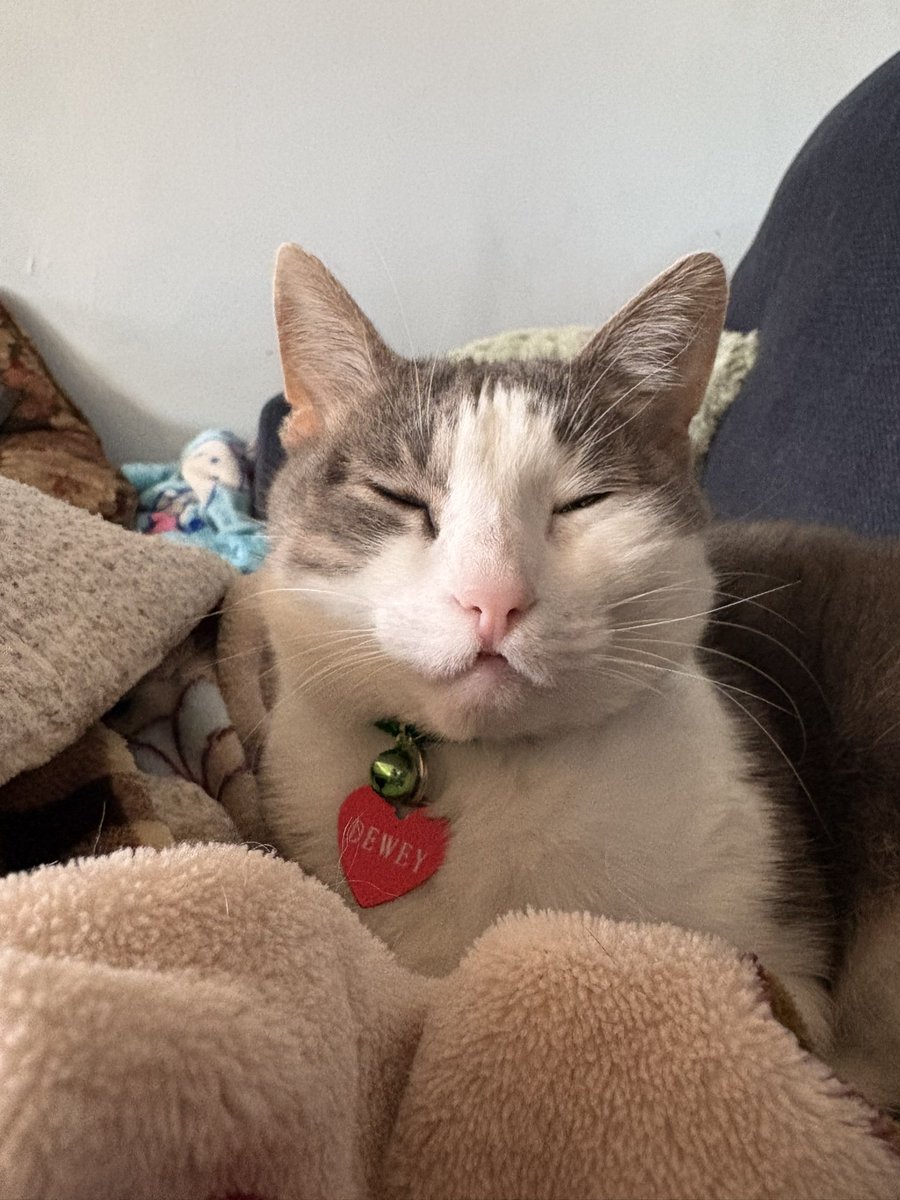 pre tenting 2 sleep leaf me a lone