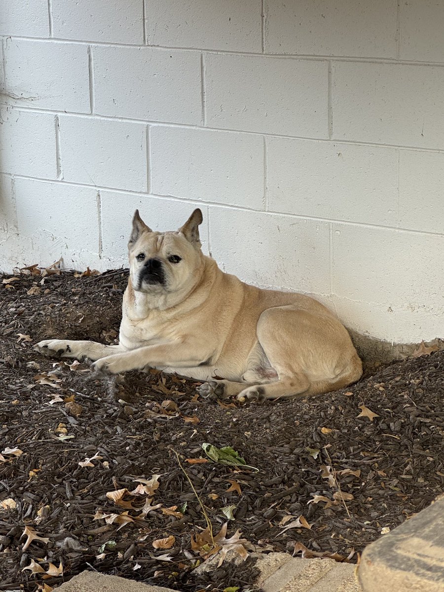 wen u r king of durt hole