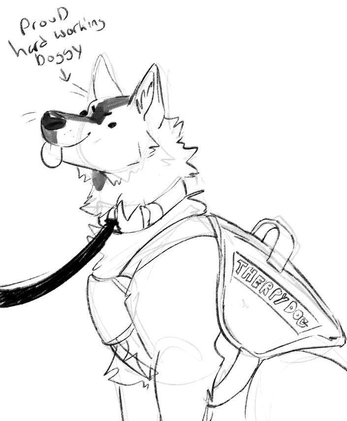 🐾🐾⤵️ (@fourpawsdown) on Twitter photo 