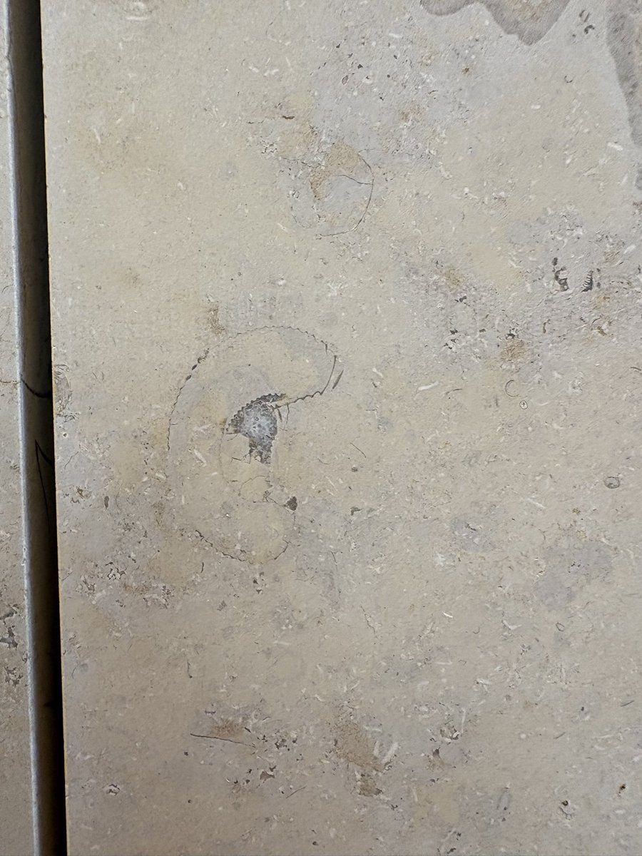 ユウスケカツラダ（石） tweet media