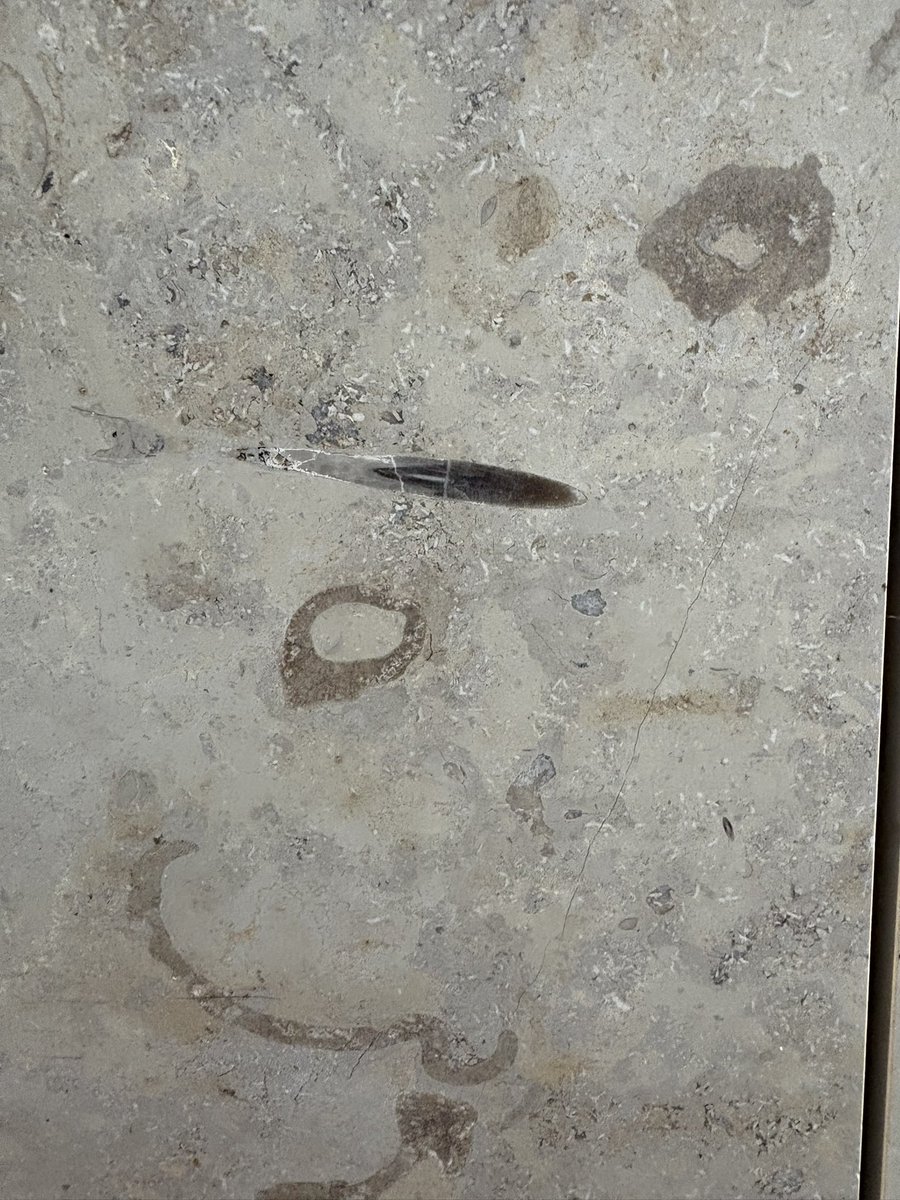 ユウスケカツラダ（石） tweet media