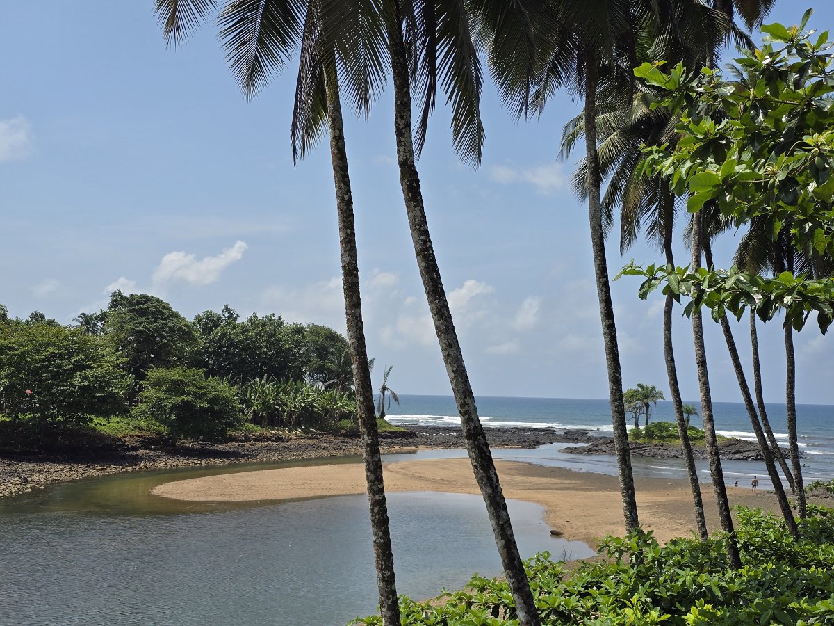 Raconets tweet media