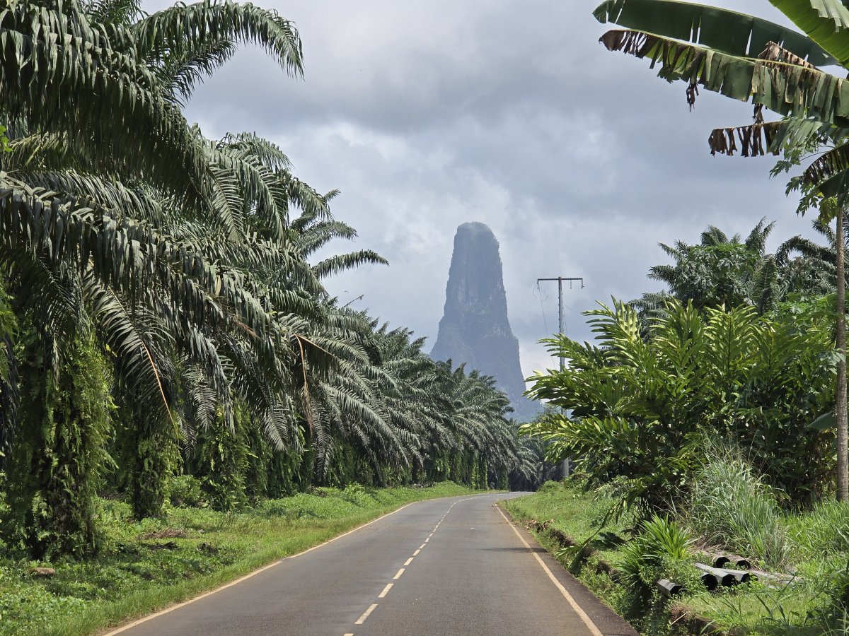 Raconets tweet media