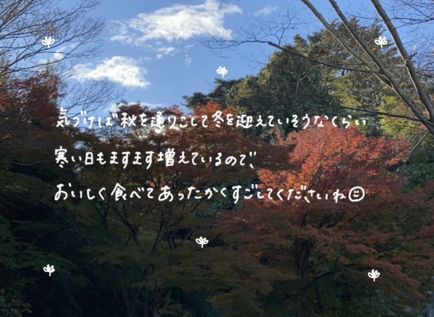 Iris_lv1's tweet image. ୨ৎ‐  1⃣4️⃣通目💌 
秋を通り越して冬に；꒳；💧とってもだんだん寒くなってきてる😵‍💫🌀
秋スイーツたくさんたべてね( ◜︎︎𖥦◝ )🎵💘
もう少しだけ秋たのしむのいいね素敵すぎる~🍁🍂✊🏻♡
ういちゃんも体調には気をつけて~😿✨️
୨ৎ  #uiblog   #14通目 ୨ৎ--