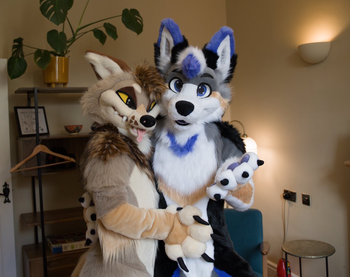 Look at this cute yapper I've found 🥺 I think I'm gonna keep him

🔺️ <a href="/amricoyote/">Amri</a>