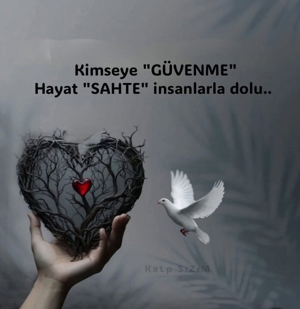 O ESKİDENDİ (@mesutgven201) on Twitter photo 