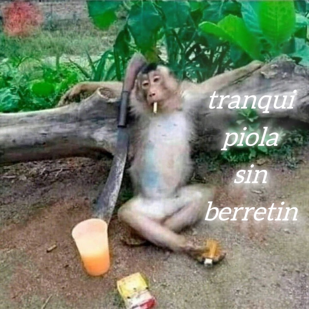 pelusa (@pelusafafaa) on Twitter photo 