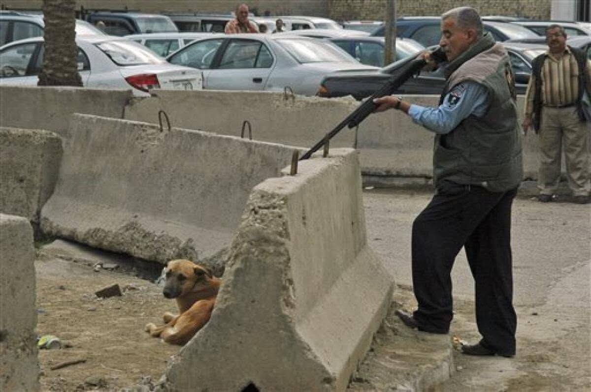 Marruecos, el Rey ordena matar a todos los perros callejeros de cara al Mundial 2030...por una mierda mundial tienen que morir miles de seres vivos, Cobardes hdlgp... Mierda de puto mundo.. Esta foto te parte el alma..