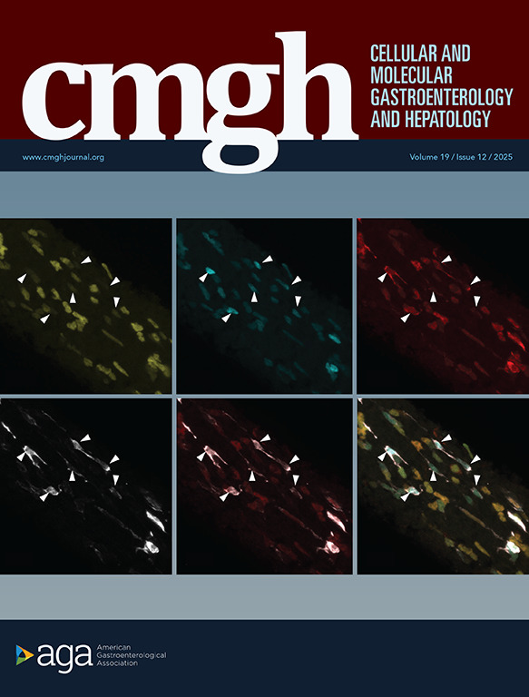 AGA_CMGH's tweet image. 📣 Check out CMGH&apos;s newest issue! 🔗 ow.ly/XBBZ50XtftR 
🏷️ #GITwitter #GIX