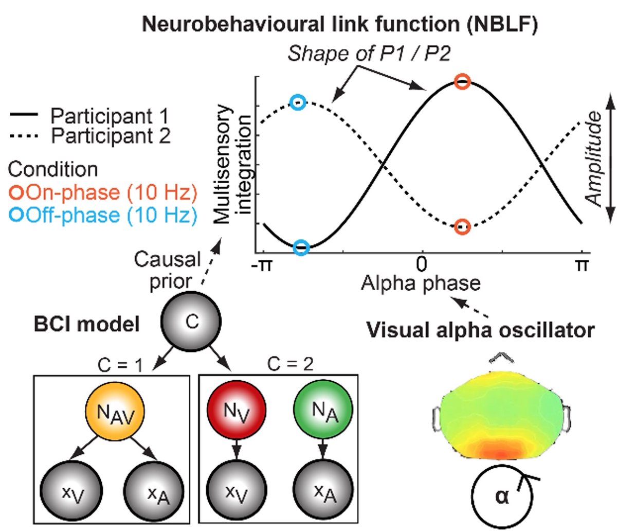 Daniel Senkowski tweet media