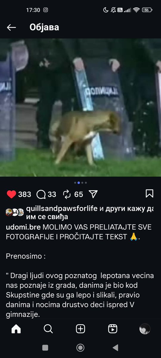 sanjazivi's tweet image. Blokaderko trazi dom