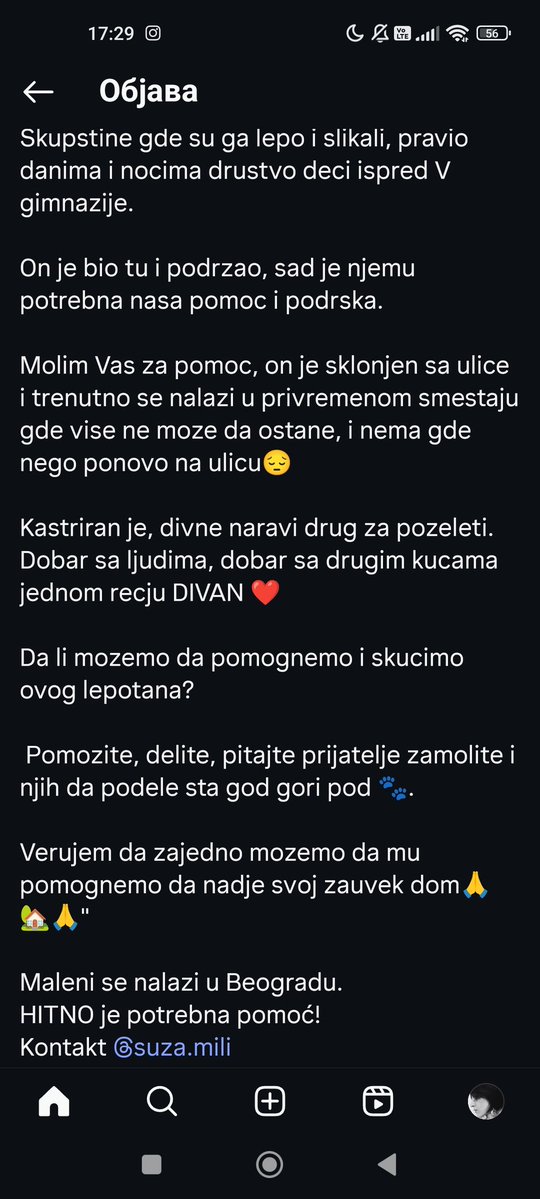 sanjazivi's tweet image. Blokaderko trazi dom