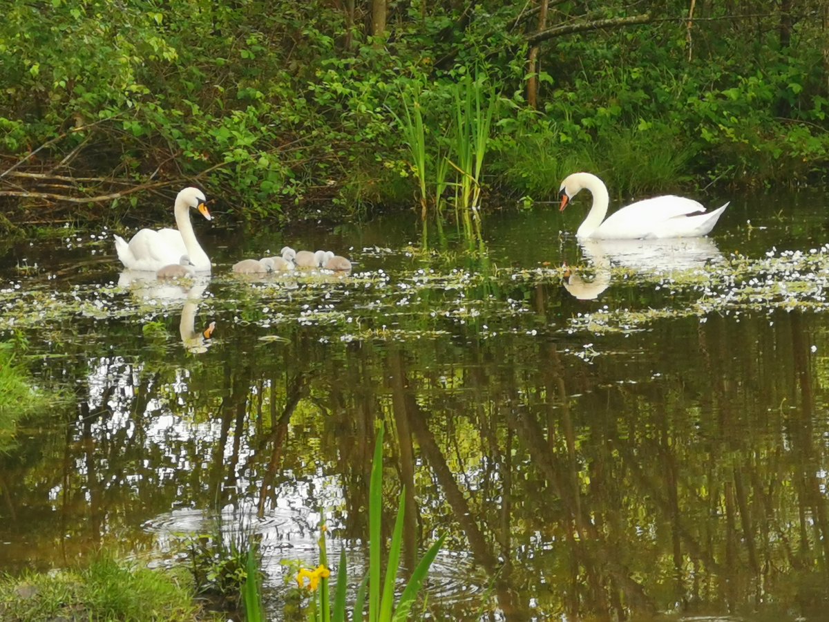 Looking forward to the <a href="/SouthwarkCofE/">Southwark Diocese</a> Carbon Literacy programme tonight, &amp; in preparation, I'm turning off lights &amp; shutting doors. There are simple things we can do every day to reduce our impact on the earth. 'The inability to do everything does not mean we should do nothing'