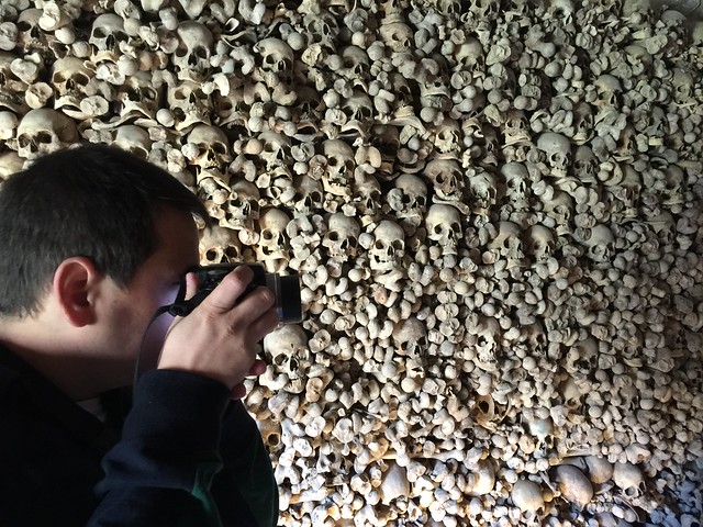 L´osari mira sol.

#Palindromari