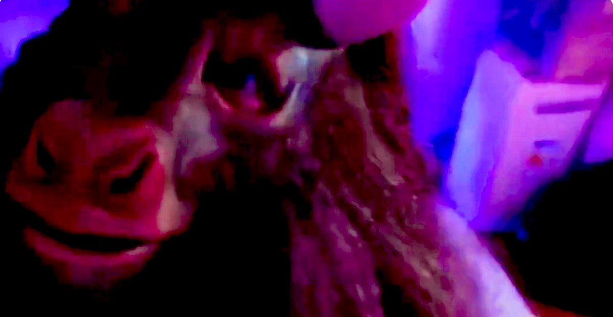 J’aurais préféré que Twitter reste buggé vu ce que je viens de voir…