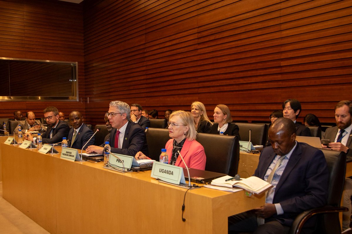 African Union tweet media