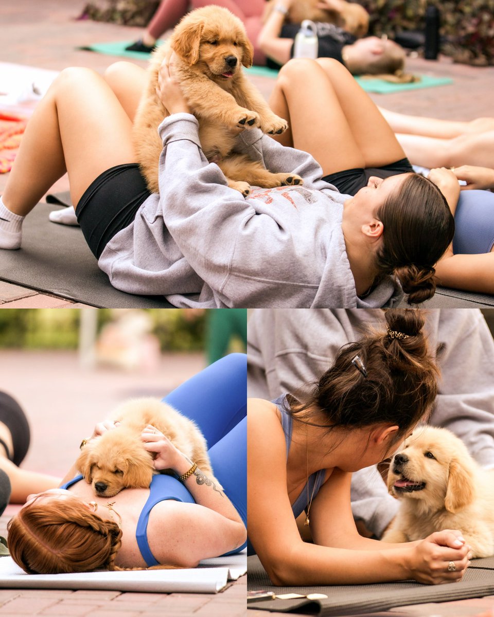 Simply, 𝐓𝐡𝐚𝐧𝐤 𝐘𝐨𝐮 
Puppy Yoga for Hope was an incredible success in taking a stand for the fight against human trafficking! 🐶🧘🏻‍♀️

Thanks to 150+ guests, 10+ sponsors/vendors and beautiful puppies who came out to support the thousands of dollars raised for The Lily &amp; The