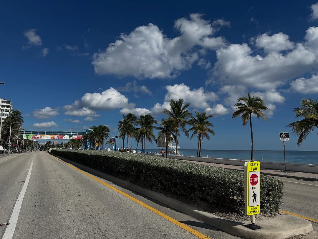 orrery_nim's tweet image. 