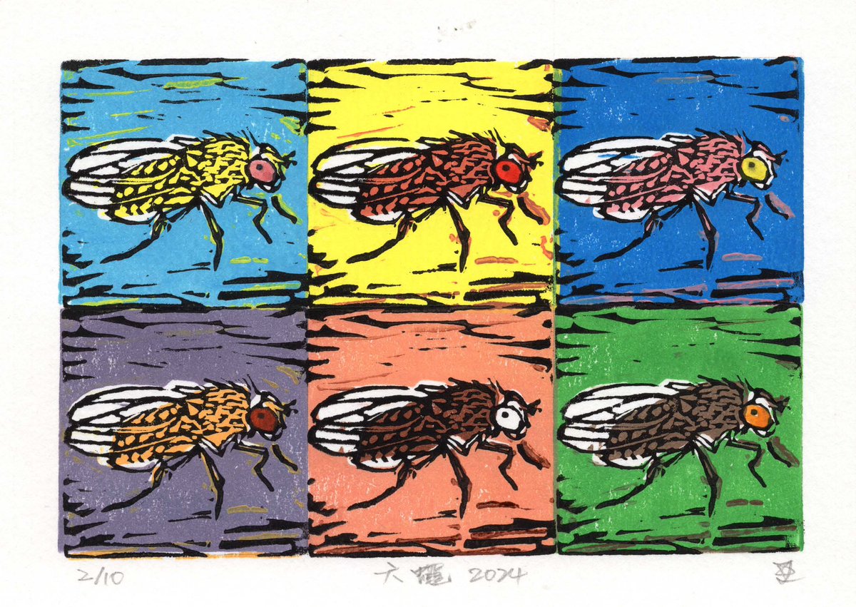🏅 Fourth Place – DevBio Art Contest 🎨 🪰 Pop Art Drosophila! by Jenn-Yah Yu A bold color block print of six female fruit flies in a 3×2 grid, same design, different color combos. A Warhol-inspired take where shifting palettes echo phenotypic variation. 💥🎨 #DevBioArt