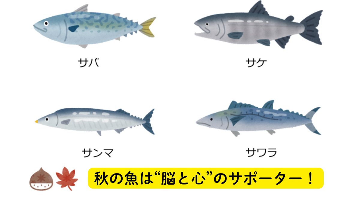 さんま・さけ・さばなど、
秋の魚は脂がしっかりのっていて、
DHA・EPAがトップシーズンに近いほど豊富って知ってる？

この脂のオメガ3って、
・集中力アップ
・メンタルの安定
・血流のサポート
にめちゃくちゃ頼れる存在なんです。

つまり、