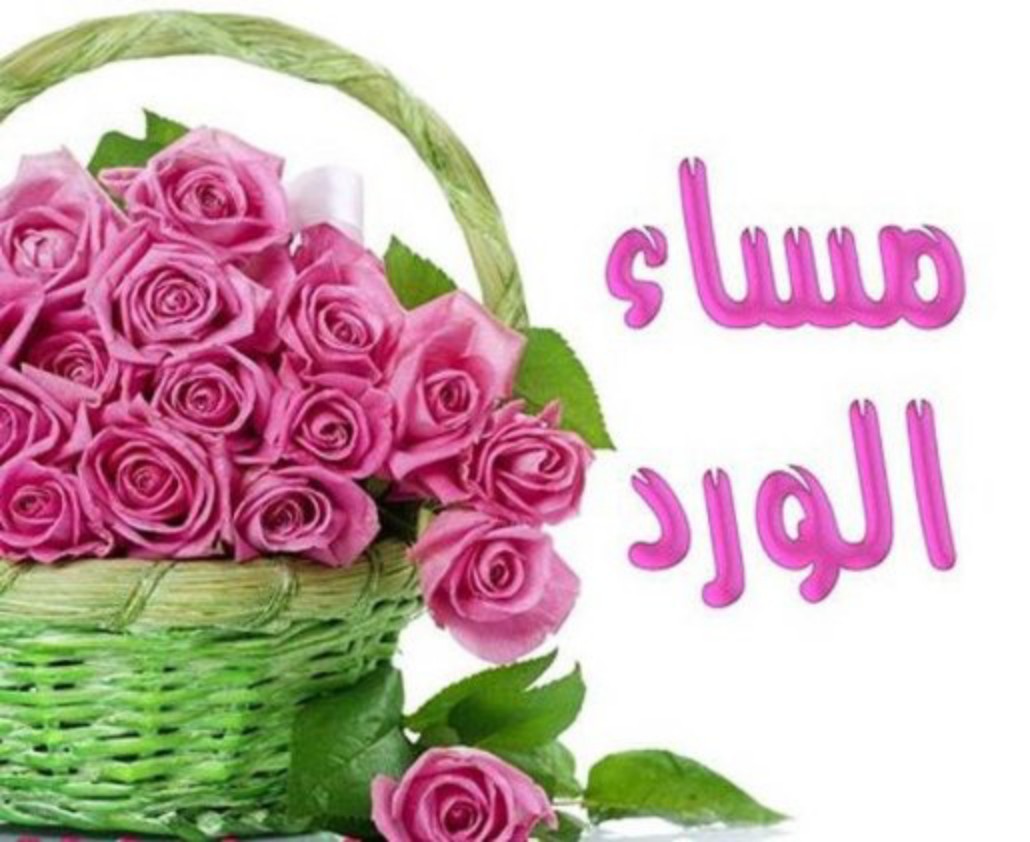بين كسب القلوب وكسرها .. خيط رفيع اسمه 

" أسلوب "...

🌸#أسعدالله_مسائكم_بكل_خير🌸