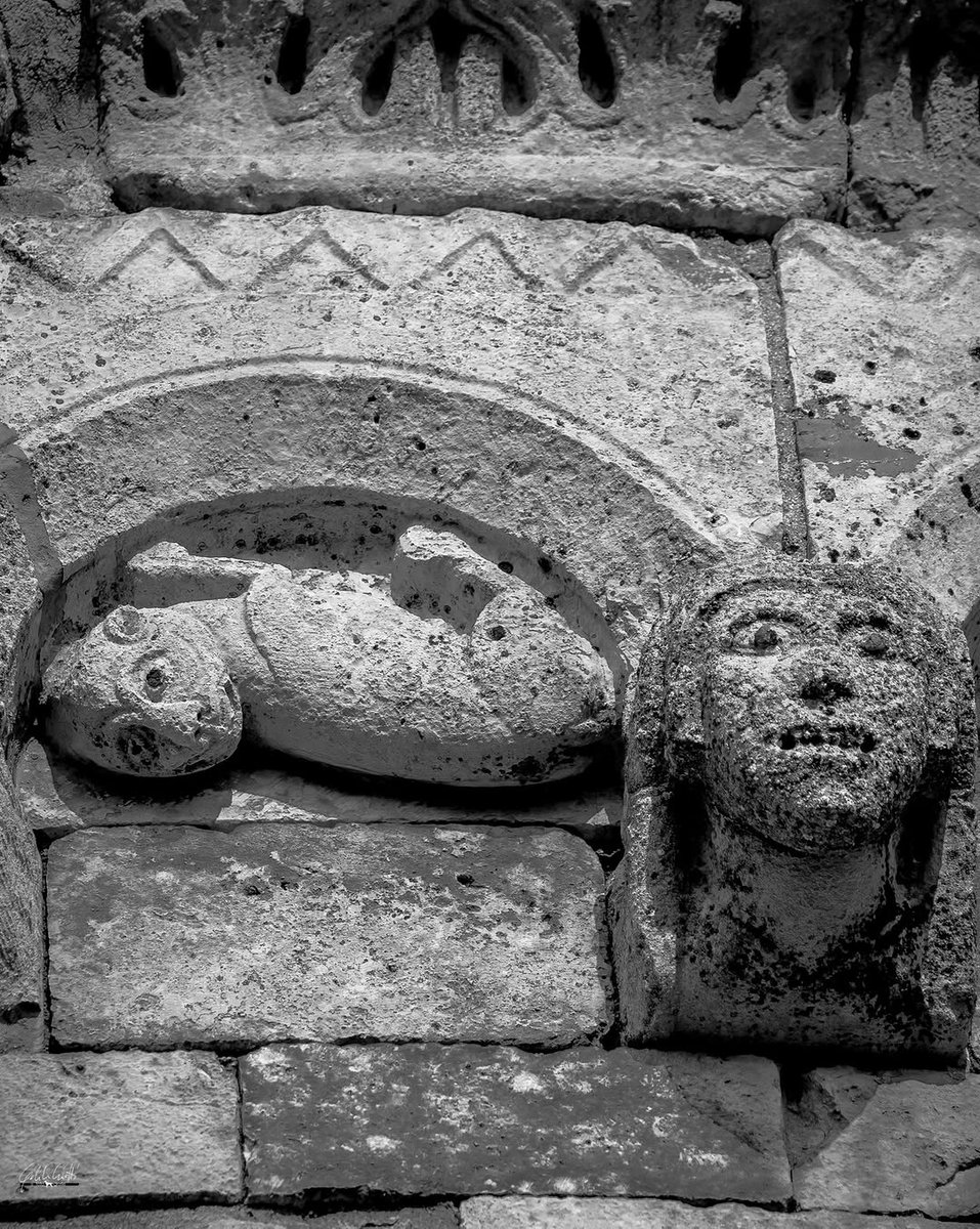 YourAbruzzo's tweet image. #AlbaFucens, cuore antico d’Abruzzo: città-fortezza dei #Marsi fondata nel 303 a.C. #Anfiteatro, teatro, templi, terme e foro raccontano un viaggio nella storia!
👉shorturl.at/Mg1Li
📸IG gabriele_ciutti
#abruzzo #viaggioinabruzzo #AlbaFucens