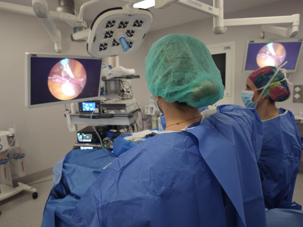 Ginemacarena's tweet photo. Aumentamos nuestra actividad quirúrgica en el Hospital Muñoz Cariñanos. A la patología del #suelopélvico y la #radiofrecuenciademiomas se une hoy nuestra cirugía laparoscópica benigna con las primeras cinco intervenciones. https://t.co/vtIoOgFS3A