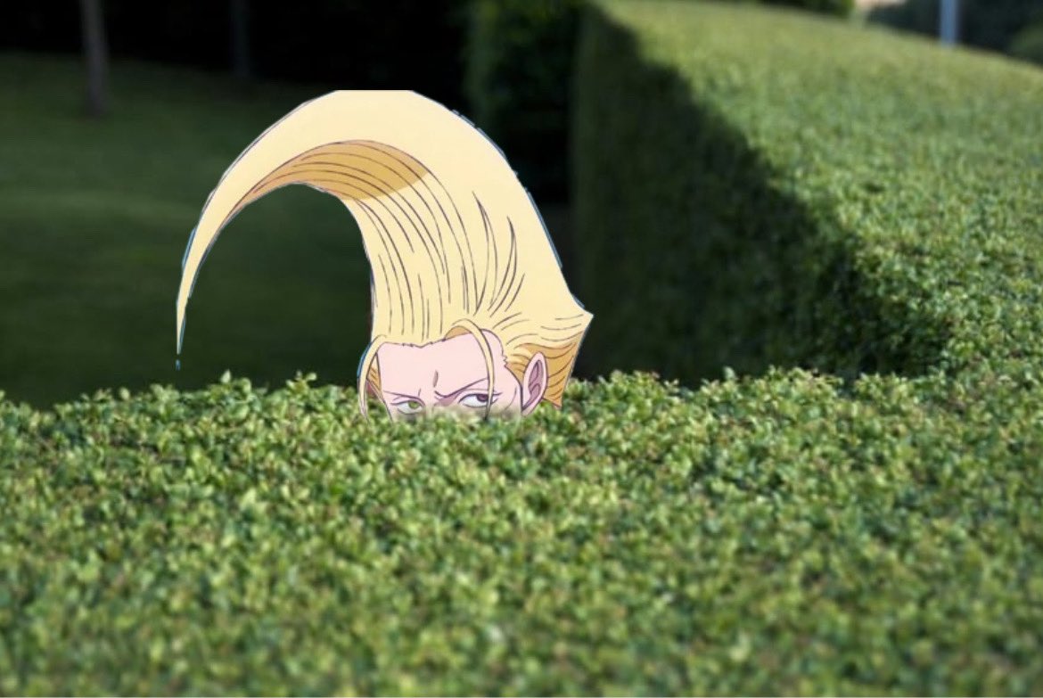 The World's Best Sneakattacker: Figarland Garling #ONEPIECE1166