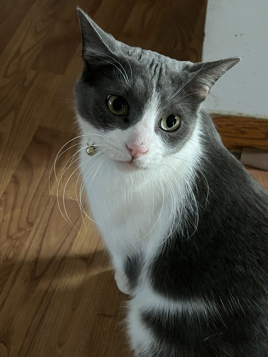 grapebats's tweet image. i’m gonna cry