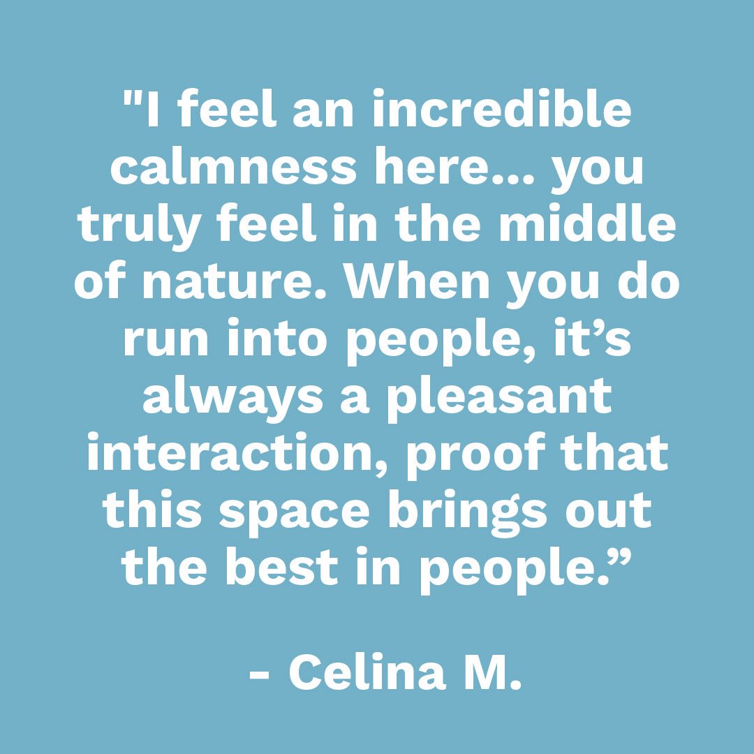 Kaulig Giving tweet media