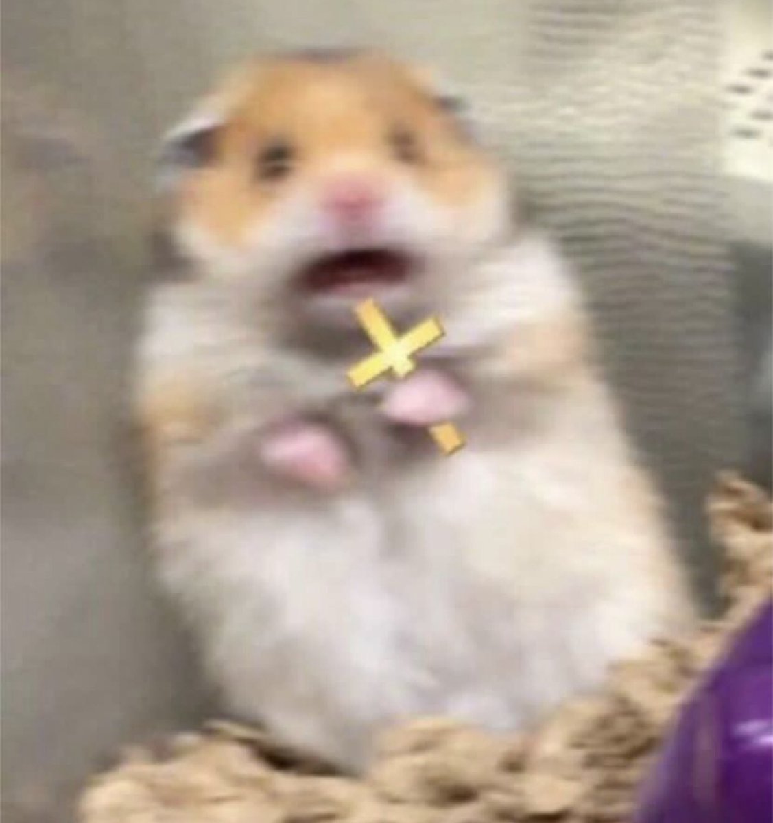 Vineethian's tweet image. 