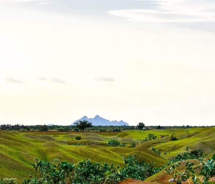 dr_hoziefa's tweet image. دا جبل أبو سنون في محلية السنوط بولاية شمال كردفان وهي إحدى محليات الولاية الذي كان مسرح لعمليات الجيش الذي طرد منه الجنجويد اليوم وفيه قصة هو وجبل العفاريت في محلية الخوي في مدينة عيال بخيت بنحكيها القصتين في وقت لاحق لما الجيش يحررها باذن الله عشان تعرفوا انو بلدنا فيها اسرار.