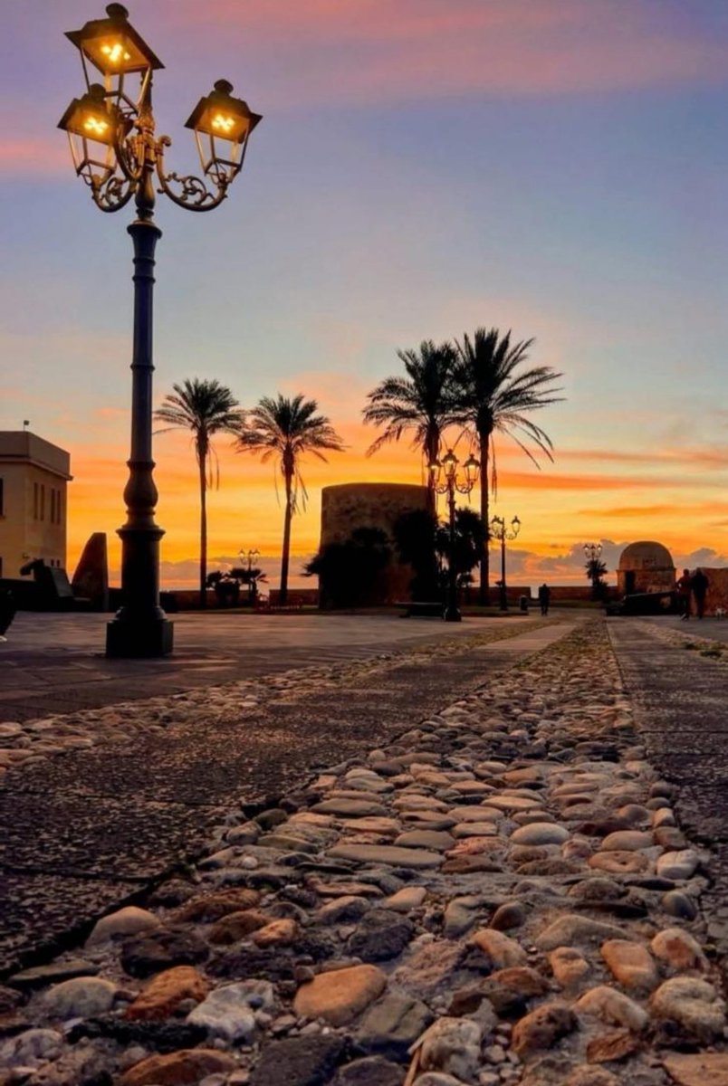 #evening
#sunsetphotography
#sunsetlover