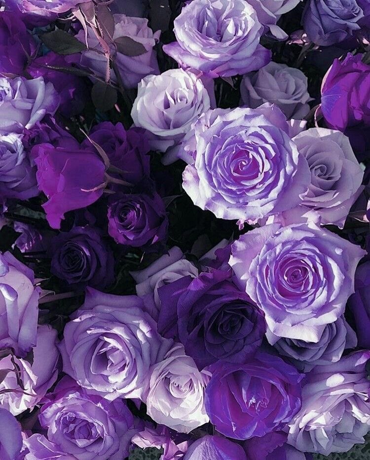 Jackie's Script tweet media